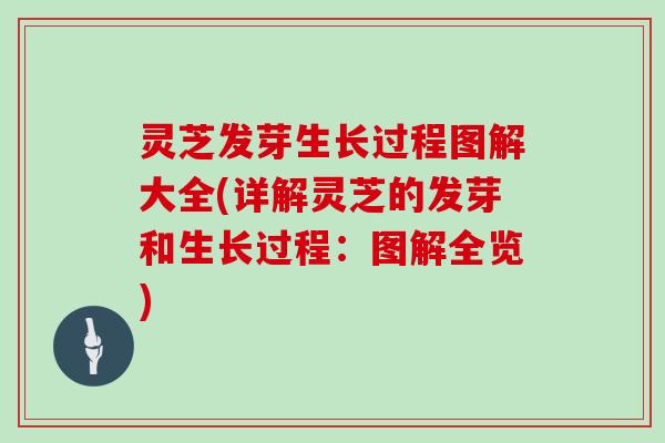 灵芝发芽生长过程图解大全(详解灵芝的发芽和生长过程：图解全览)