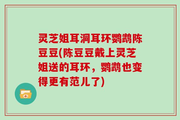 灵芝姐耳洞耳环鹦鹉陈豆豆(陈豆豆戴上灵芝姐送的耳环，鹦鹉也变得更有范儿了)