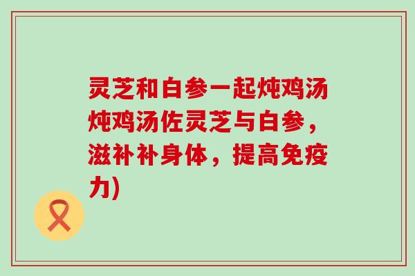 灵芝和白参一起炖鸡汤炖鸡汤佐灵芝与白参，滋补补身体，提高免疫力)