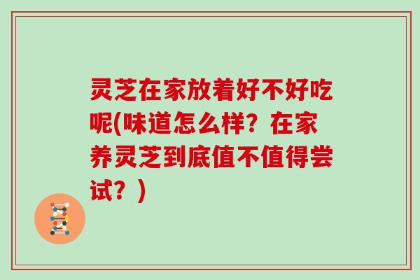 灵芝在家放着好不好吃呢(味道怎么样？在家养灵芝到底值不值得尝试？)