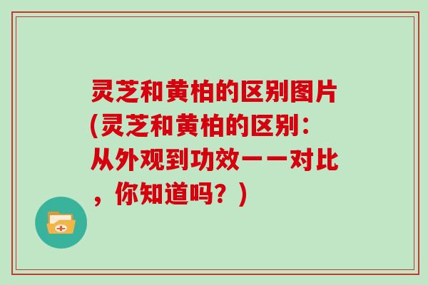 灵芝和黄柏的区别图片(灵芝和黄柏的区别：从外观到功效一一对比，你知道吗？)