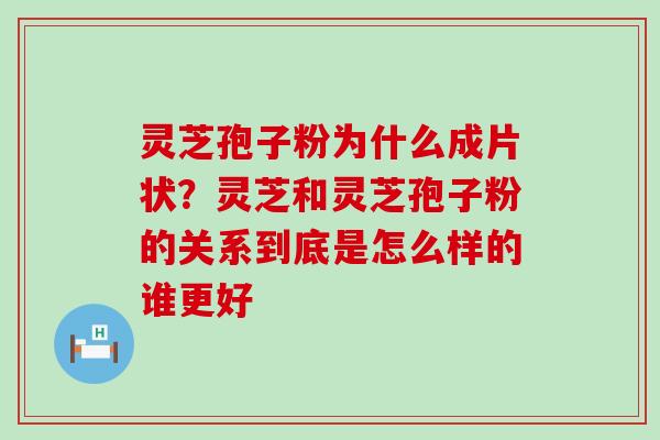 灵芝孢子粉为什么成片状？灵芝和灵芝孢子粉的关系到底是怎么样的谁更好