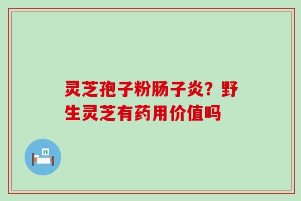 灵芝孢子粉肠子炎？野生灵芝有药用价值吗