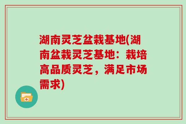 湖南灵芝盆栽基地(湖南盆栽灵芝基地：栽培高品质灵芝，满足市场需求)