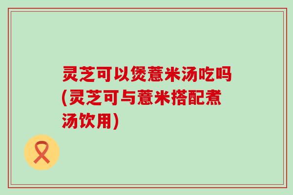 灵芝可以煲薏米汤吃吗(灵芝可与薏米搭配煮汤饮用)