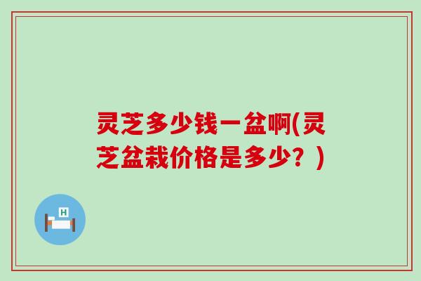 灵芝多少钱一盆啊(灵芝盆栽价格是多少？)