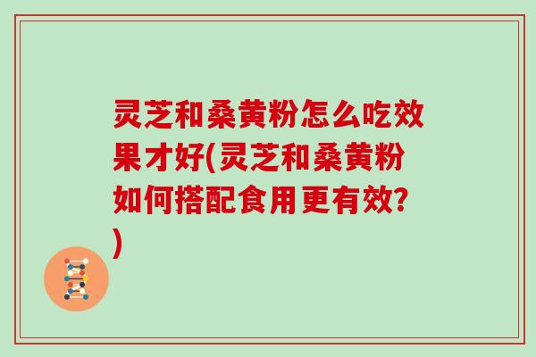 灵芝和桑黄粉怎么吃效果才好(灵芝和桑黄粉如何搭配食用更有效？)