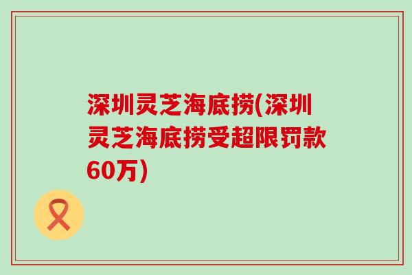 深圳灵芝海底捞(深圳灵芝海底捞受超限罚款60万)