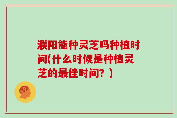 濮阳能种灵芝吗种植时间(什么时候是种植灵芝的佳时间？)