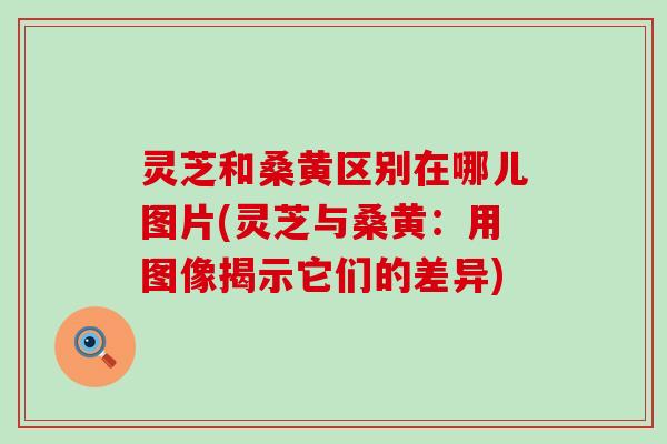 灵芝和桑黄区别在哪儿图片(灵芝与桑黄：用图像揭示它们的差异)