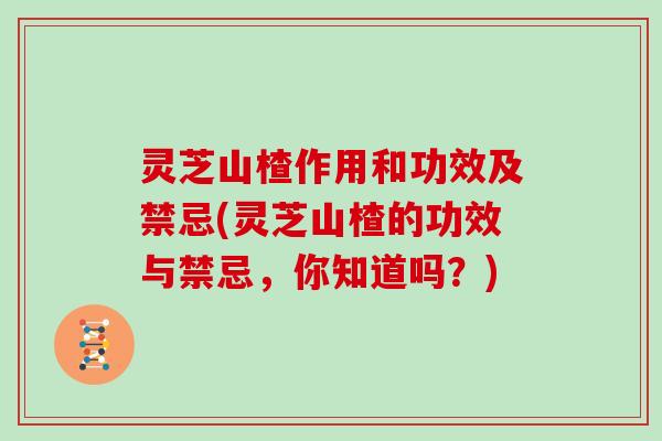 灵芝山楂作用和功效及禁忌(灵芝山楂的功效与禁忌，你知道吗？)