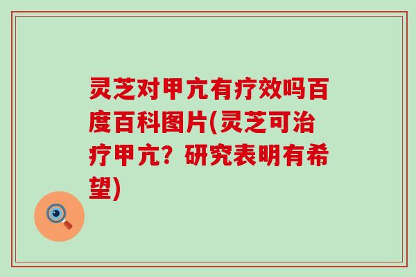 灵芝对甲亢有疗效吗百度百科图片(灵芝可甲亢？研究表明有希望)