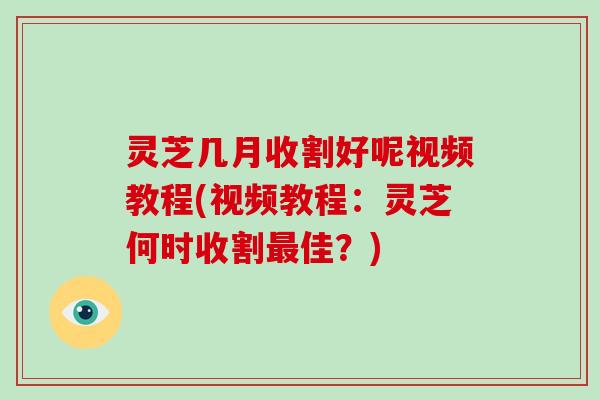 灵芝几月收割好呢视频教程(视频教程：灵芝何时收割佳？)