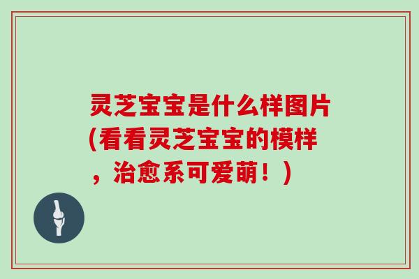 灵芝宝宝是什么样图片(看看灵芝宝宝的模样，愈系可爱萌！)