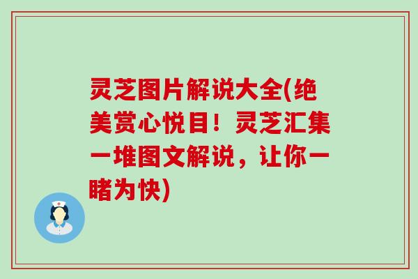 灵芝图片解说大全(绝美赏心悦目！灵芝汇集一堆图文解说，让你一睹为快)