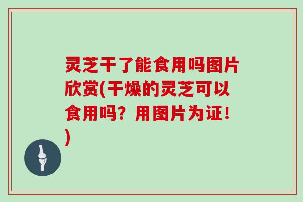 灵芝干了能食用吗图片欣赏(干燥的灵芝可以食用吗？用图片为证！)