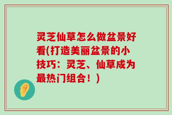 灵芝仙草怎么做盆景好看(打造美丽盆景的小技巧：灵芝、仙草成为热门组合！)