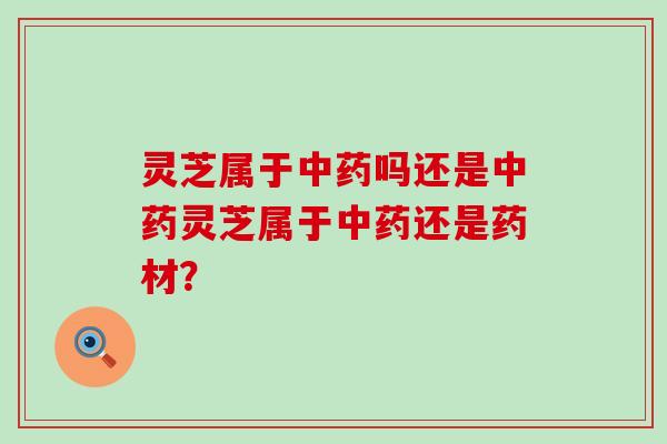 灵芝属于吗还是灵芝属于还是药材？