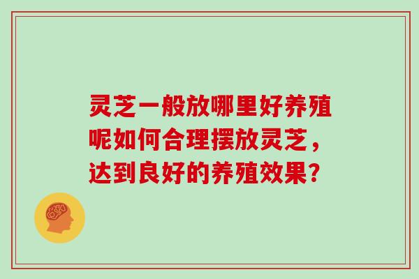 灵芝一般放哪里好养殖呢如何合理摆放灵芝，达到良好的养殖效果？