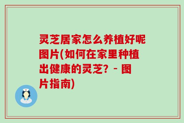 灵芝居家怎么养植好呢图片(如何在家里种植出健康的灵芝？- 图片指南)