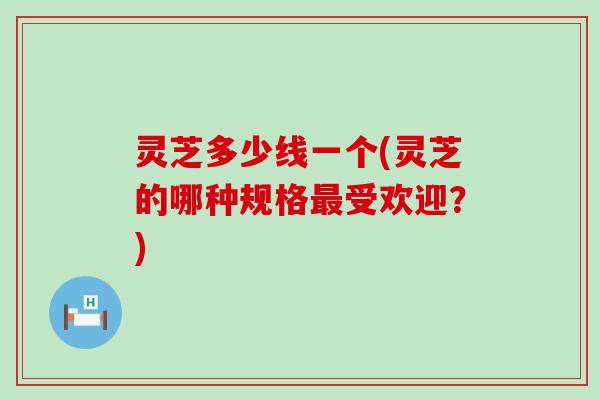 灵芝多少线一个(灵芝的哪种规格受欢迎？)