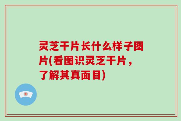 灵芝干片长什么样子图片(看图识灵芝干片，了解其真面目)