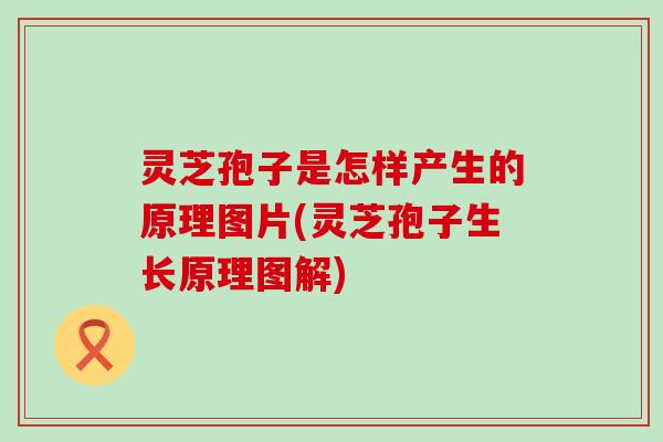 灵芝孢子是怎样产生的原理图片(灵芝孢子生长原理图解)