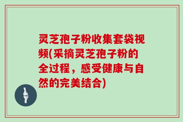 灵芝孢子粉收集套袋视频(采摘灵芝孢子粉的全过程，感受健康与自然的完美结合)