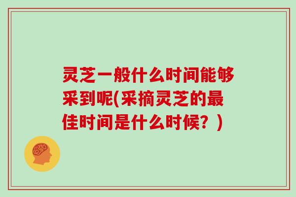 灵芝一般什么时间能够采到呢(采摘灵芝的佳时间是什么时候？)