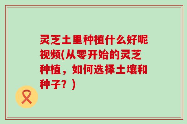 灵芝土里种植什么好呢视频(从零开始的灵芝种植，如何选择土壤和种子？)