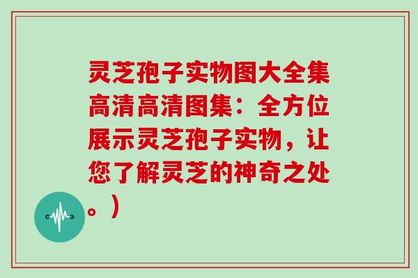 灵芝孢子实物图大全集高清高清图集：全方位展示灵芝孢子实物，让您了解灵芝的神奇之处。)