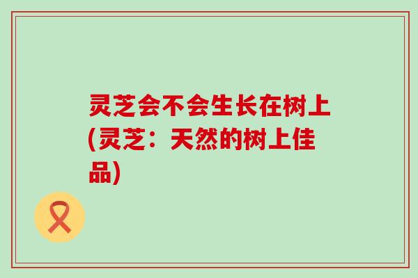 灵芝会不会生长在树上(灵芝：天然的树上佳品)