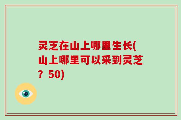 灵芝在山上哪里生长(山上哪里可以采到灵芝？50)