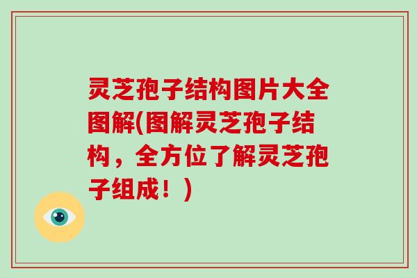 灵芝孢子结构图片大全图解(图解灵芝孢子结构，全方位了解灵芝孢子组成！)