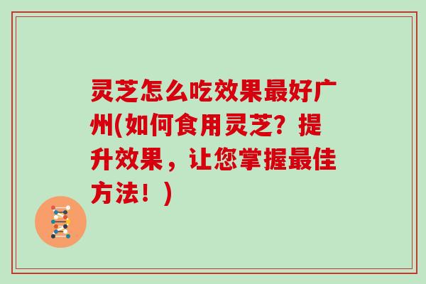 灵芝怎么吃效果好广州(如何食用灵芝？提升效果，让您掌握佳方法！)