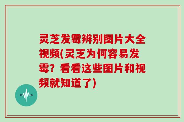 灵芝发霉辨别图片大全视频(灵芝为何容易发霉？看看这些图片和视频就知道了)