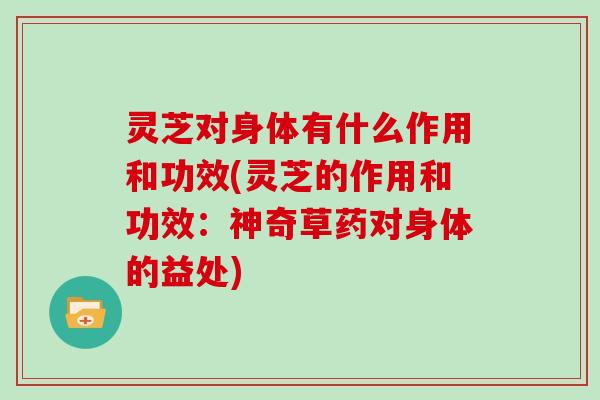 灵芝对身体有什么作用和功效(灵芝的作用和功效：神奇草药对身体的益处)