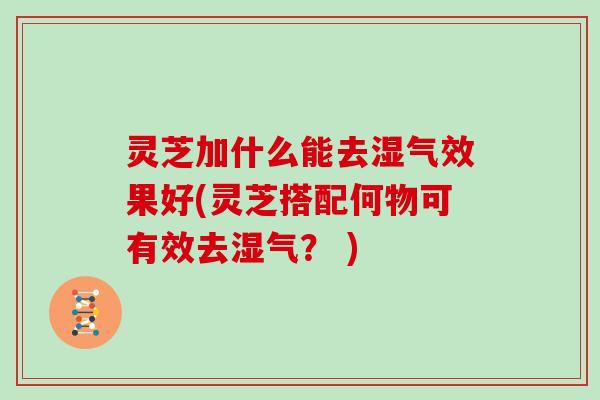 灵芝加什么能去湿气效果好(灵芝搭配何物可有效去湿气？ )