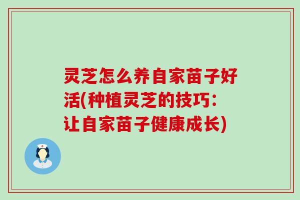 灵芝怎么养自家苗子好活(种植灵芝的技巧：让自家苗子健康成长)