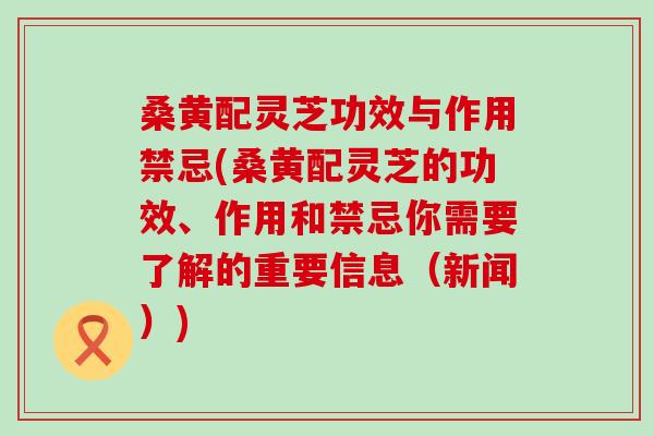 桑黄配灵芝功效与作用禁忌(桑黄配灵芝的功效、作用和禁忌你需要了解的重要信息（新闻）)