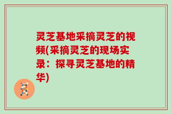 灵芝基地采摘灵芝的视频(采摘灵芝的现场实录：探寻灵芝基地的精华)