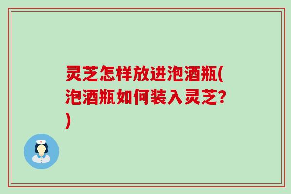 灵芝怎样放进泡酒瓶(泡酒瓶如何装入灵芝？)