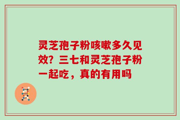 灵芝孢子粉多久见效？三七和灵芝孢子粉一起吃，真的有用吗