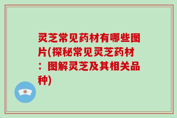 灵芝常见药材有哪些图片(探秘常见灵芝药材：图解灵芝及其相关品种)