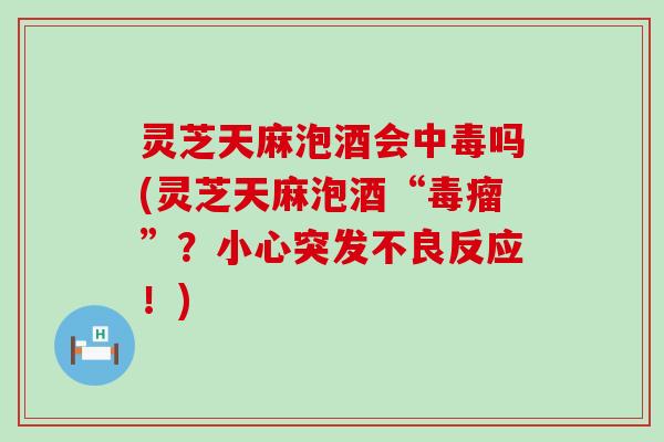 灵芝天麻泡酒会中毒吗(灵芝天麻泡酒“毒瘤”？小心突发不良反应！)