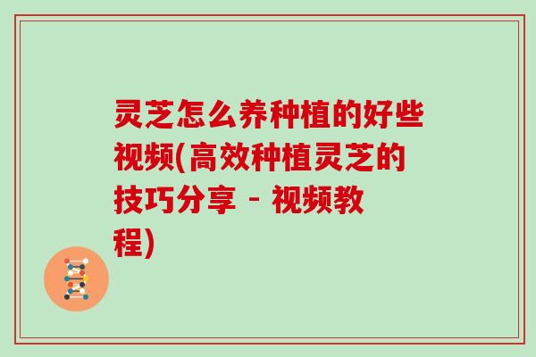 灵芝怎么养种植的好些视频(高效种植灵芝的技巧分享 - 视频教程)