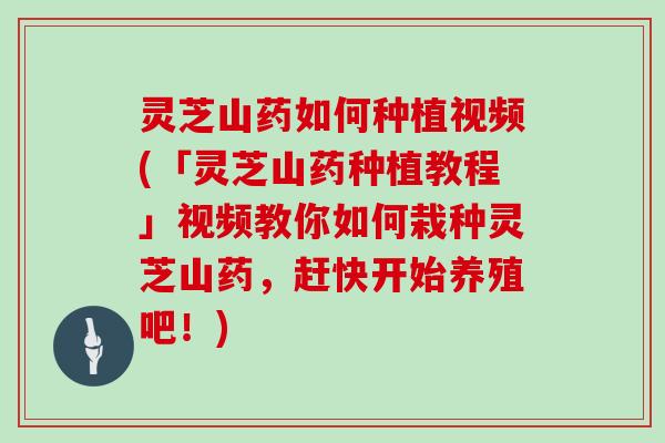 灵芝山药如何种植视频(「灵芝山药种植教程」视频教你如何栽种灵芝山药，赶快开始养殖吧！)