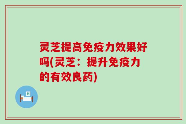 灵芝提高免疫力效果好吗(灵芝：提升免疫力的有效良药)