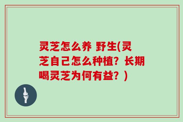 灵芝怎么养 野生(灵芝自己怎么种植？长期喝灵芝为何有益？)