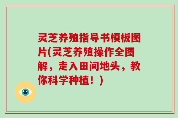 灵芝养殖指导书模板图片(灵芝养殖操作全图解，走入田间地头，教你科学种植！)